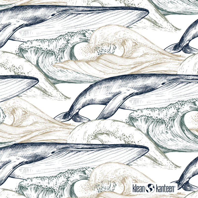 20oz-tkwide-with-twist-cap-ocean-day-j1 20oz_tkwide_bottle_seasonal_ocean_day_whale_artwork_square.png