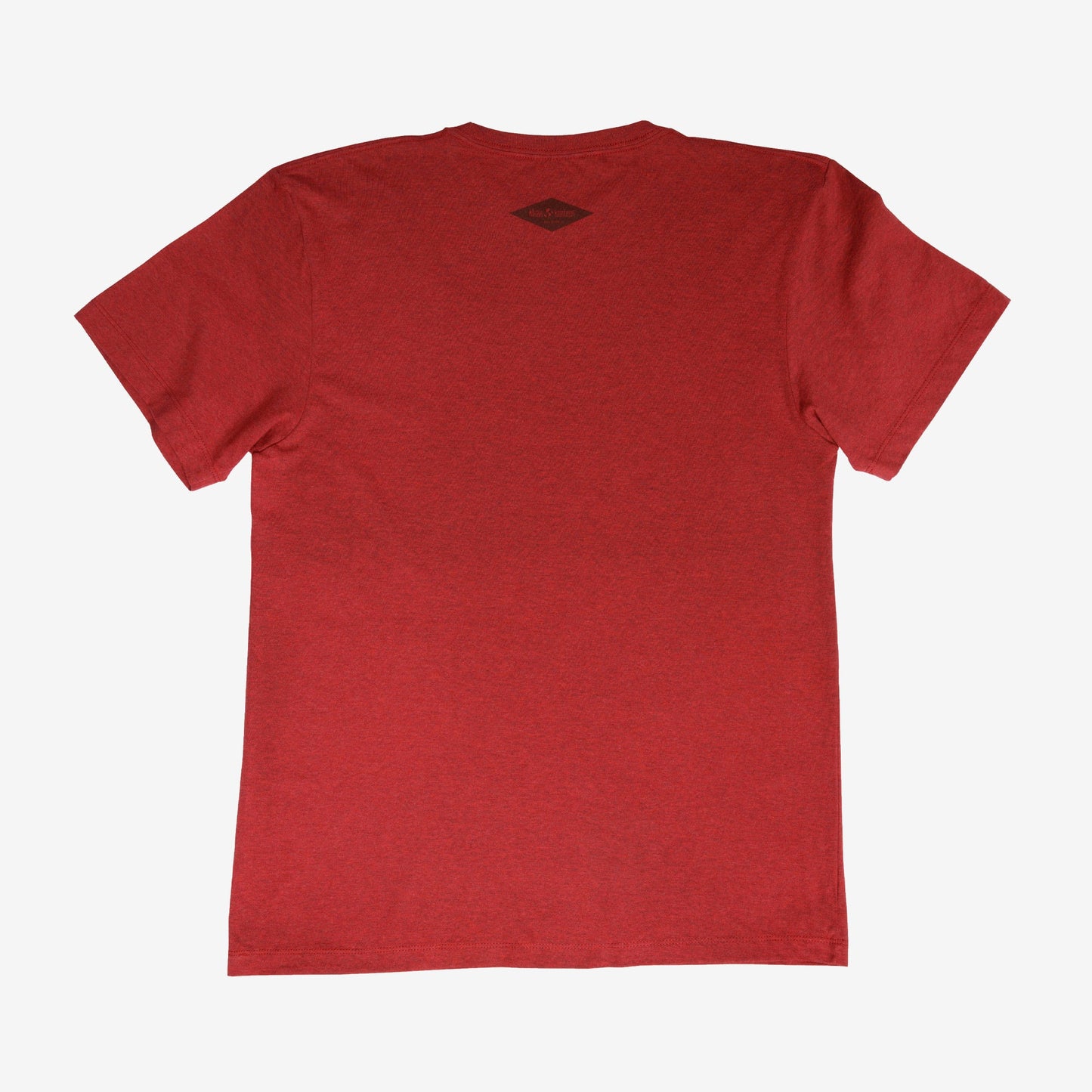 backyard-t-shirt-o9 Shirt_Mtn_Back.jpg